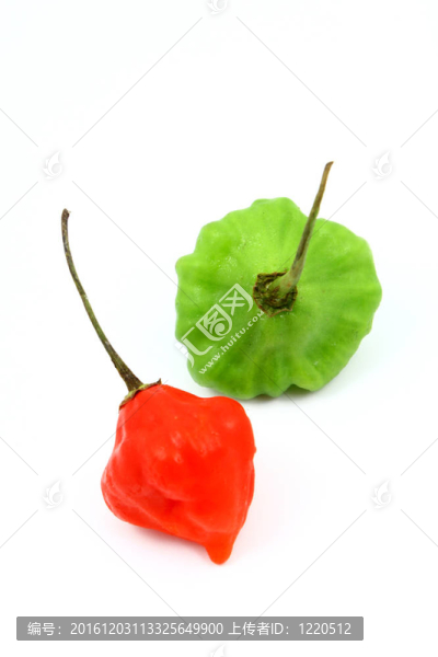 甜椒