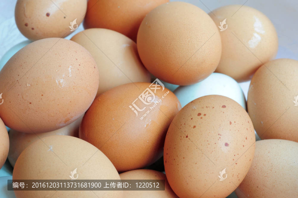 雞蛋