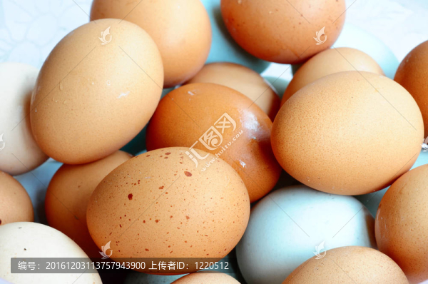 雞蛋