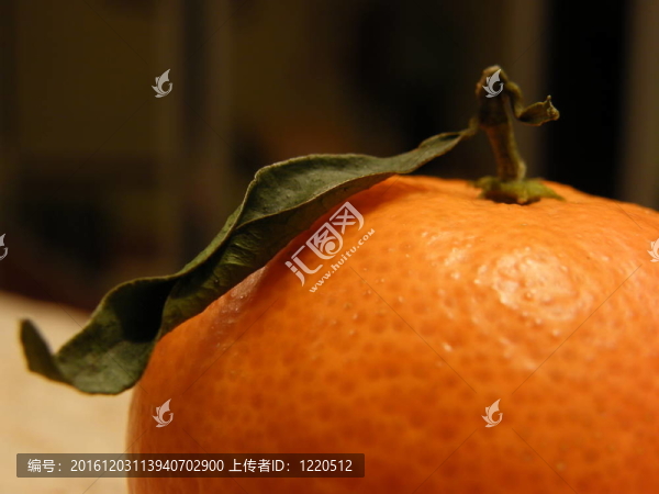 樹葉的橙子