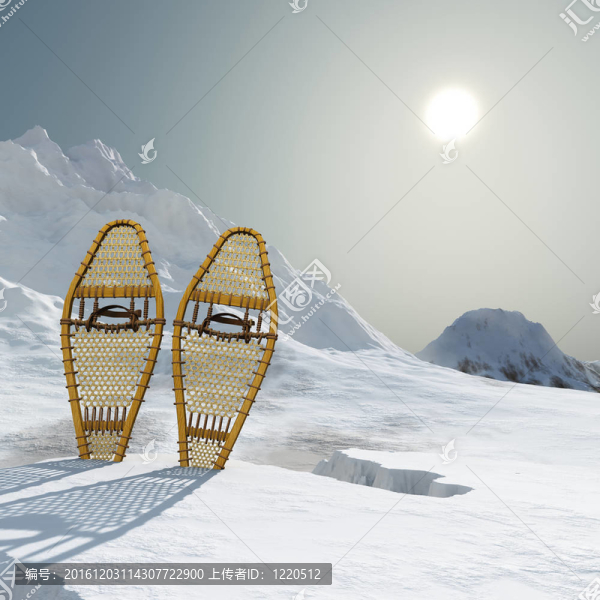 雪鞋的冬景