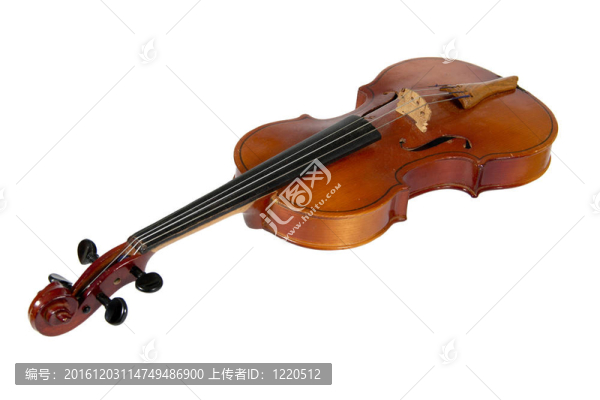 小提琴；白色背景上的孤立