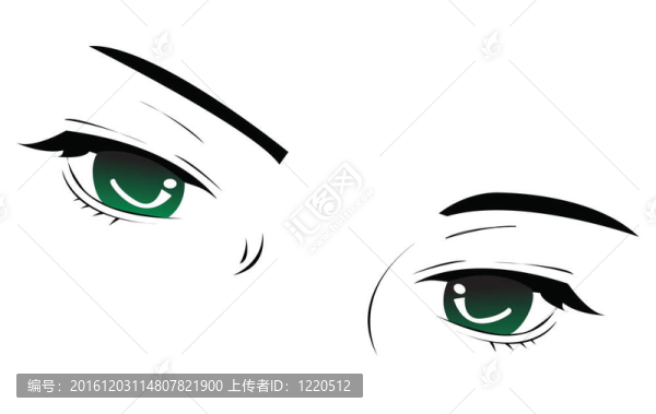 向量的眼睛