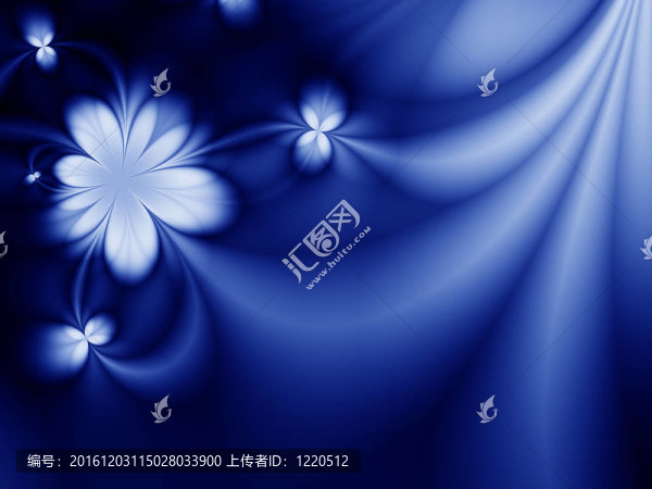 美麗的花朵
