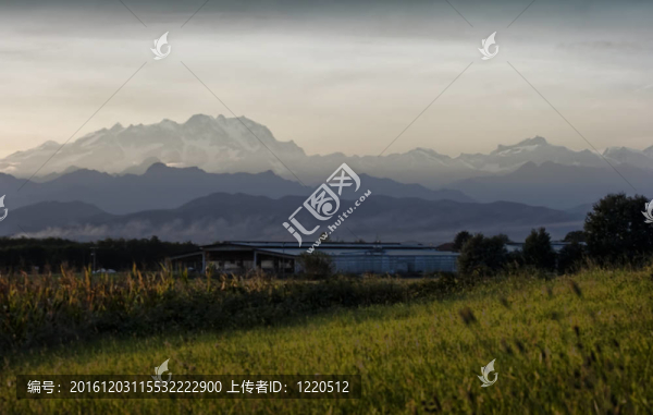 牛穩(wěn)定與阿爾卑斯山