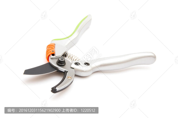 修枝剪