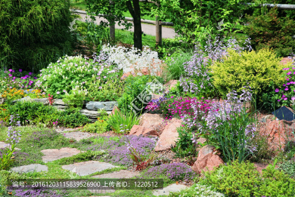 高山巖石花園