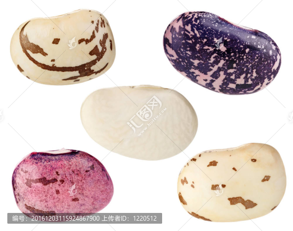 菜豆豆套白色隔離