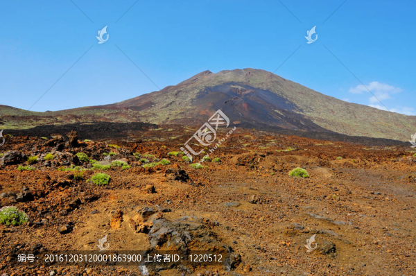 在泰德國家公園火山景觀；特內(nèi)里費；加那利群島；西班牙