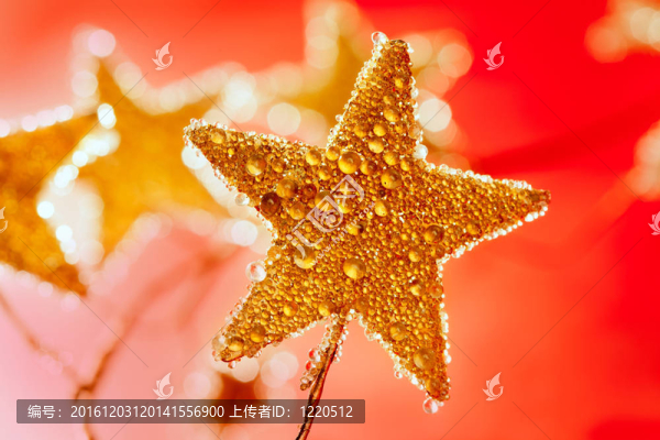 圣誕金色星星
