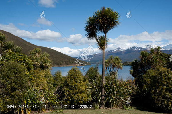 新西蘭風(fēng)景。