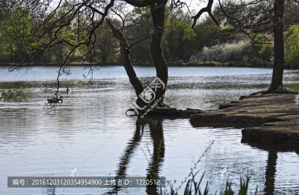 公園景觀。