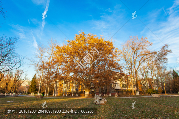 天津南開大學(xué)