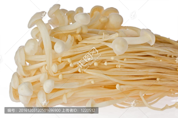 Enoki,Mushrooms（Flammulina,velutipes）