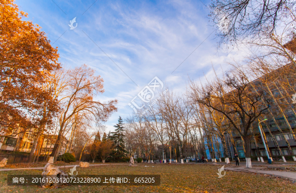 天津南開大學(xué)