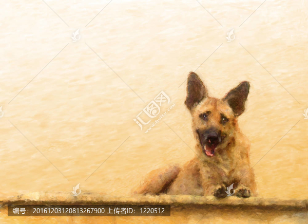 面墻犬式