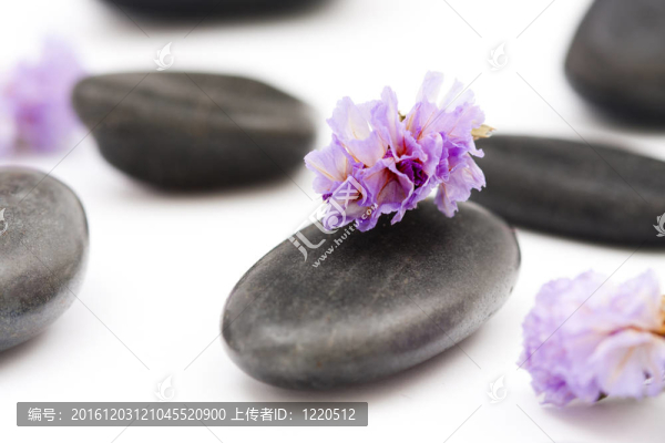 紫色花石