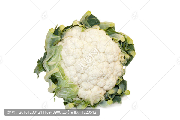 白色背景菜花