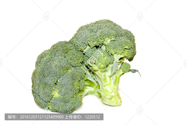 白色背景菜花