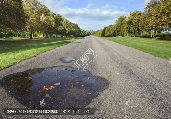 在英國溫莎城堡seenn在溫莎大公園漫步