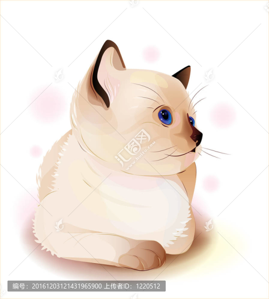 藍(lán)眼睛的小暹羅小貓的肖像。水彩畫風(fēng)格。