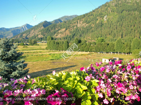 從一個(gè)絢麗的陽(yáng)臺(tái)上看到一個(gè)鄉(xiāng)村景色