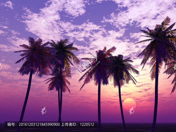 美麗的日落