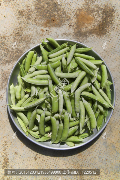 綠色的豌豆莢