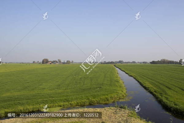 荷蘭農(nóng)業(yè)/農(nóng)村景觀