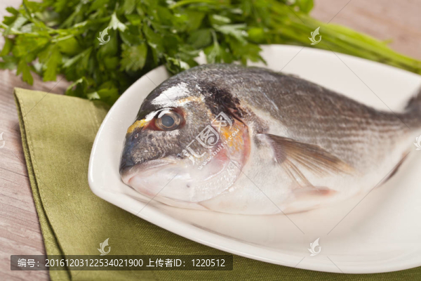 新鮮的金頭
