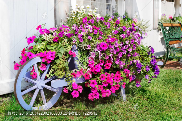 繽紛的牽?；? title=