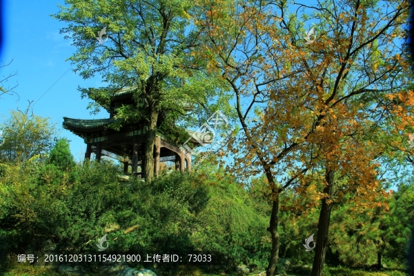 亭子