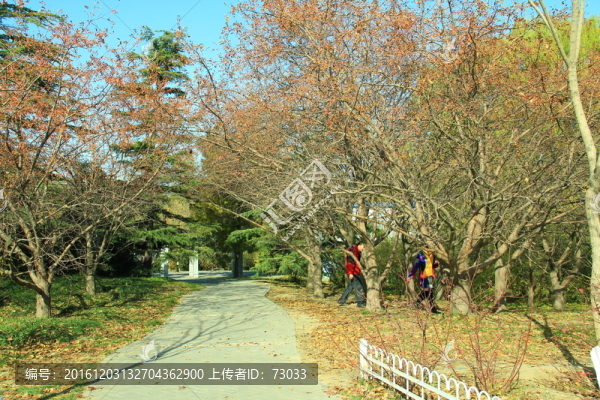 林間小路