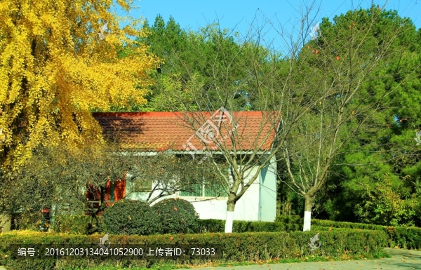 森林小屋