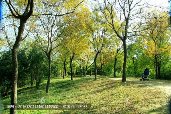 秋景