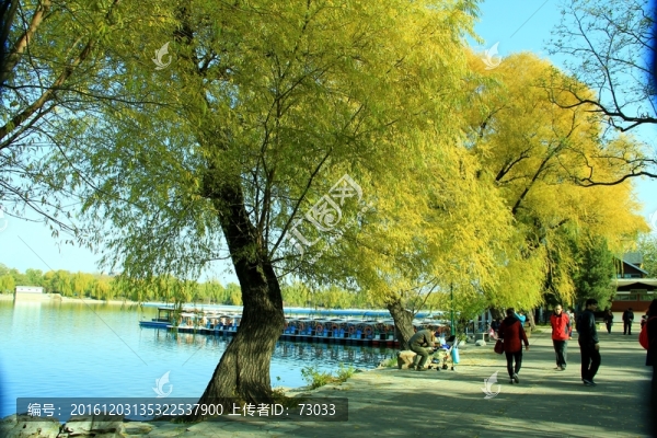 秋景