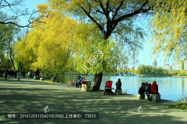 秋景