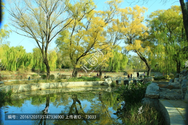 秋景