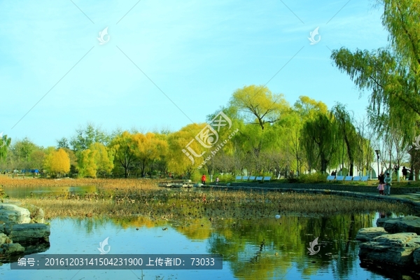 楊柳岸