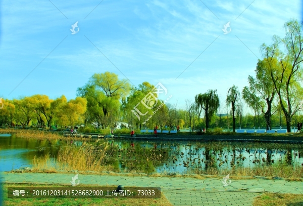 湖景