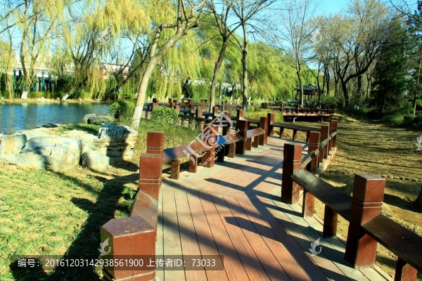 曲橋