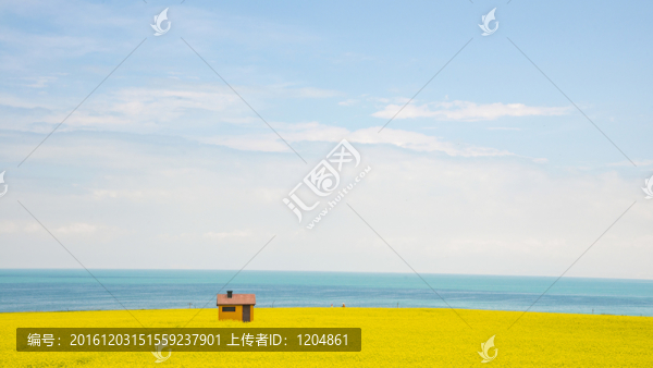 青海湖