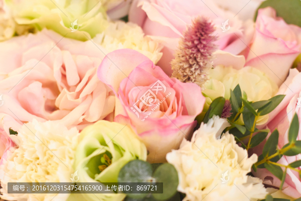 花素材