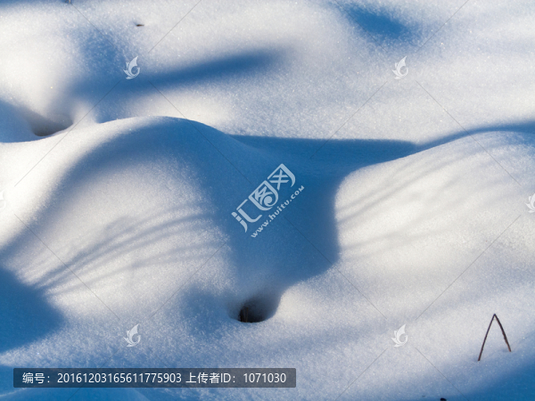 雪地