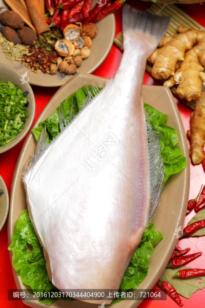 極品耗兒魚,耗兒魚