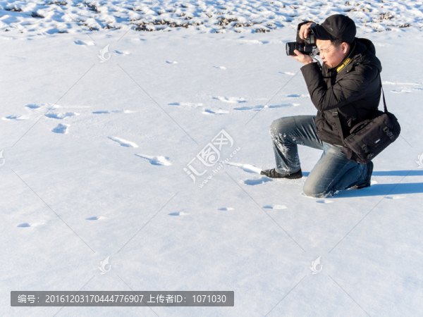 雪地?cái)z影師