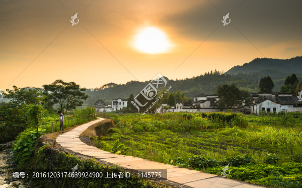 夕陽(yáng)風(fēng)光