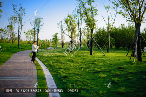 公園