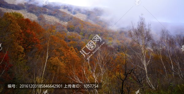 山之秋色