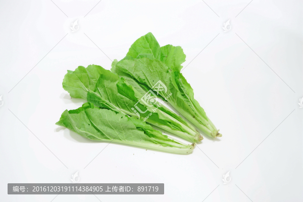 青草,小白菜,菜苗